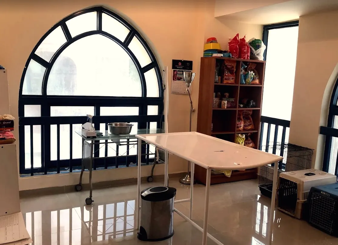 Examination room at New Veterinary Clinic