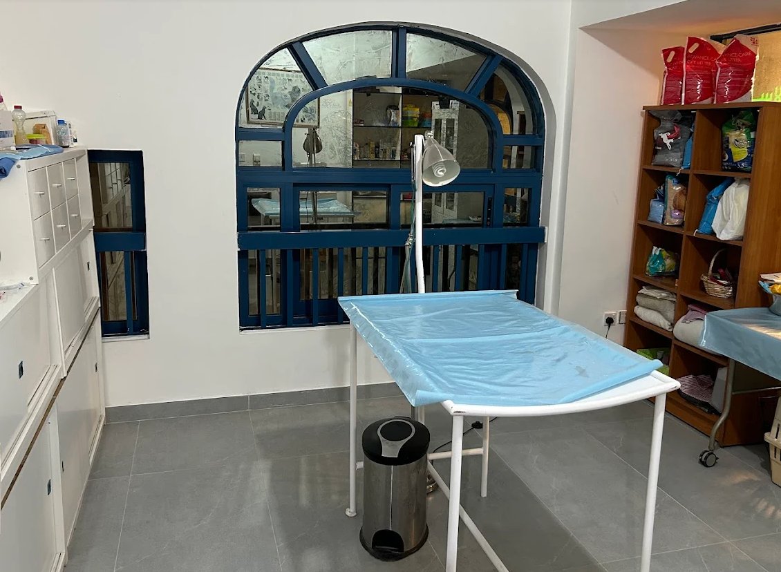 Examination table at New Veterinary Clinic Abu Dhabi where microchipping is performed