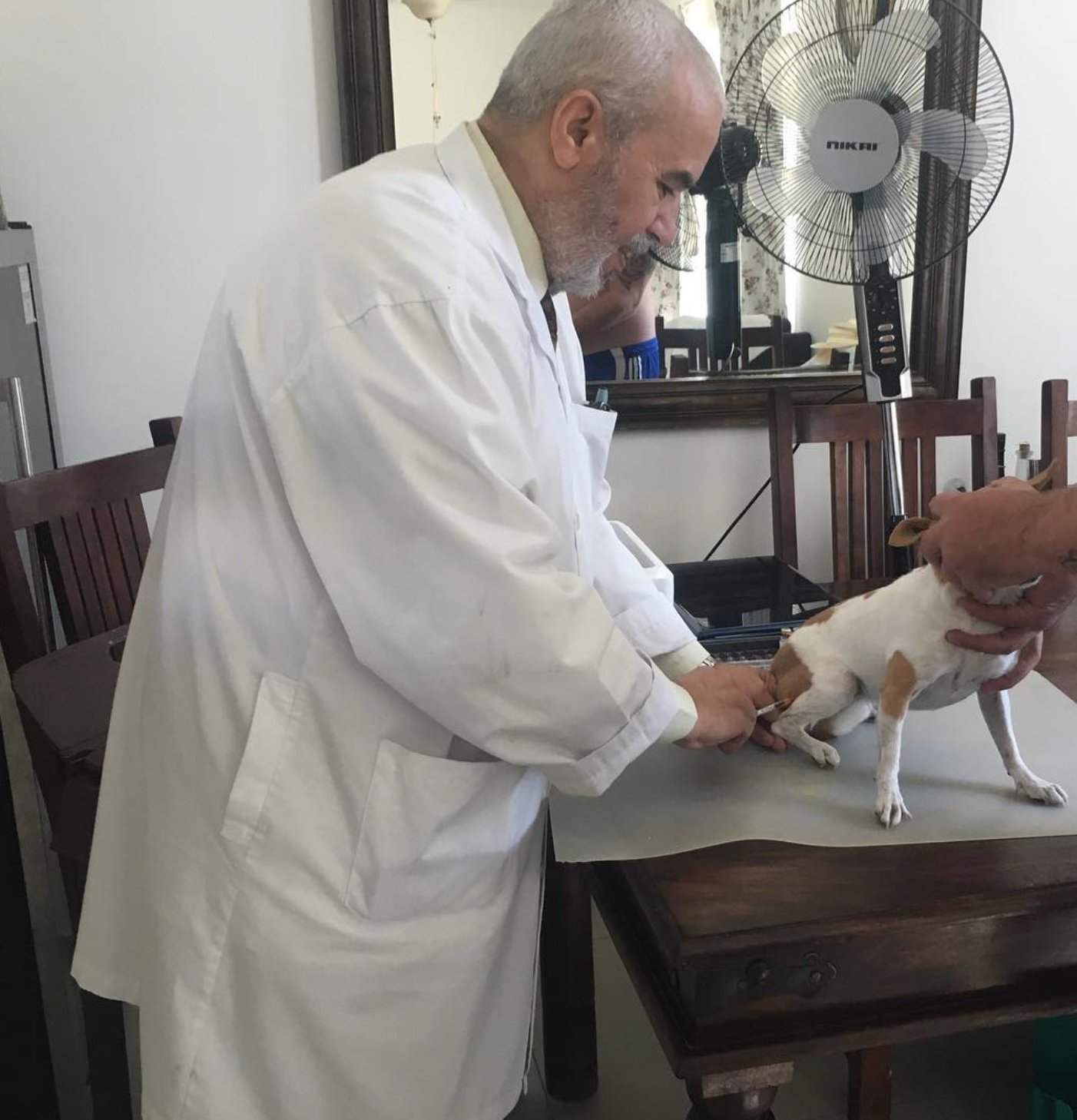 Dr. Faisal treating a small dog at New Veterinary Clinic Abu Dhabi