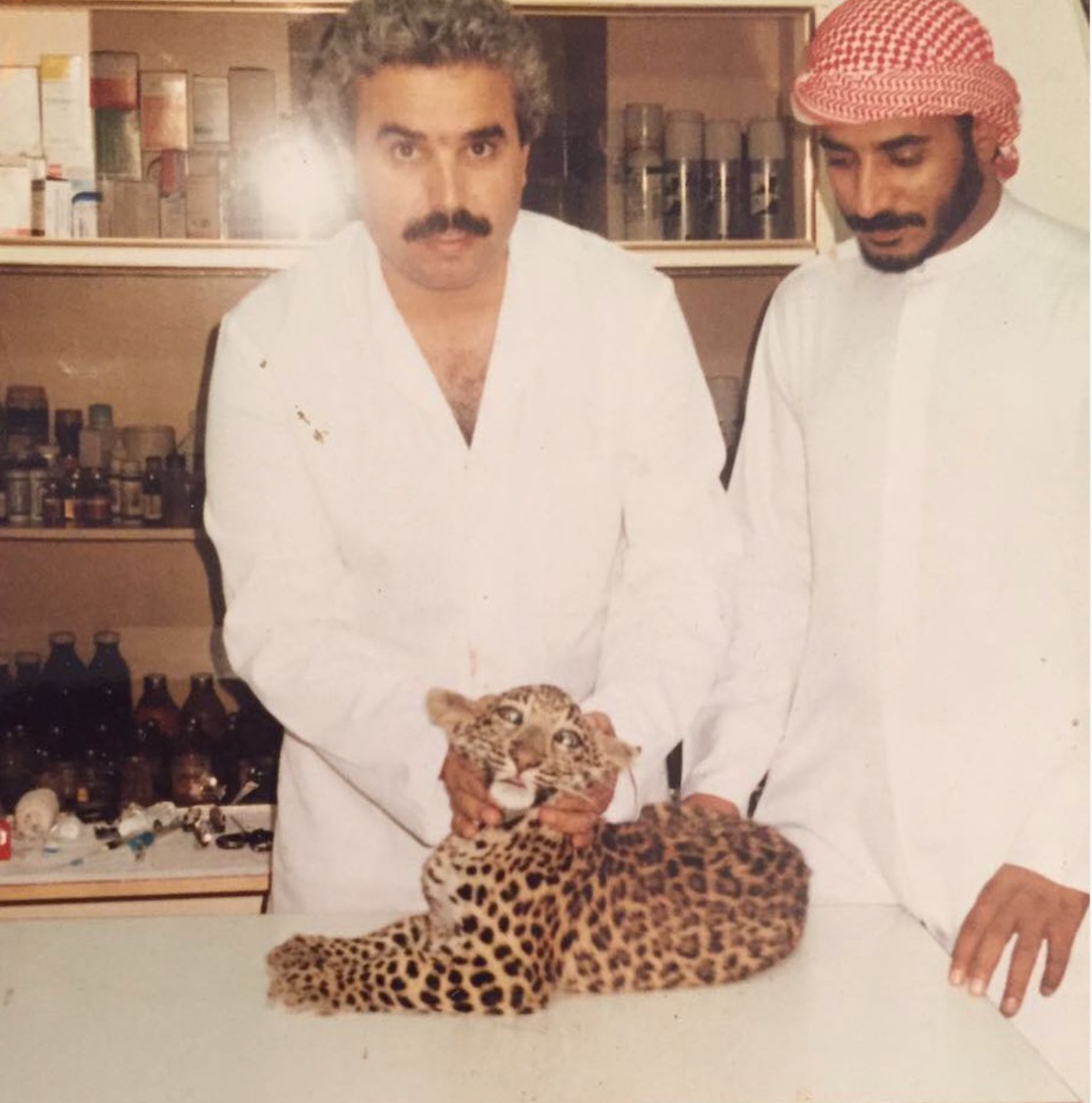 Dr. Faisal treating a leopard cub in the 1980s — exotic animal experience few vets in Abu Dhabi can match