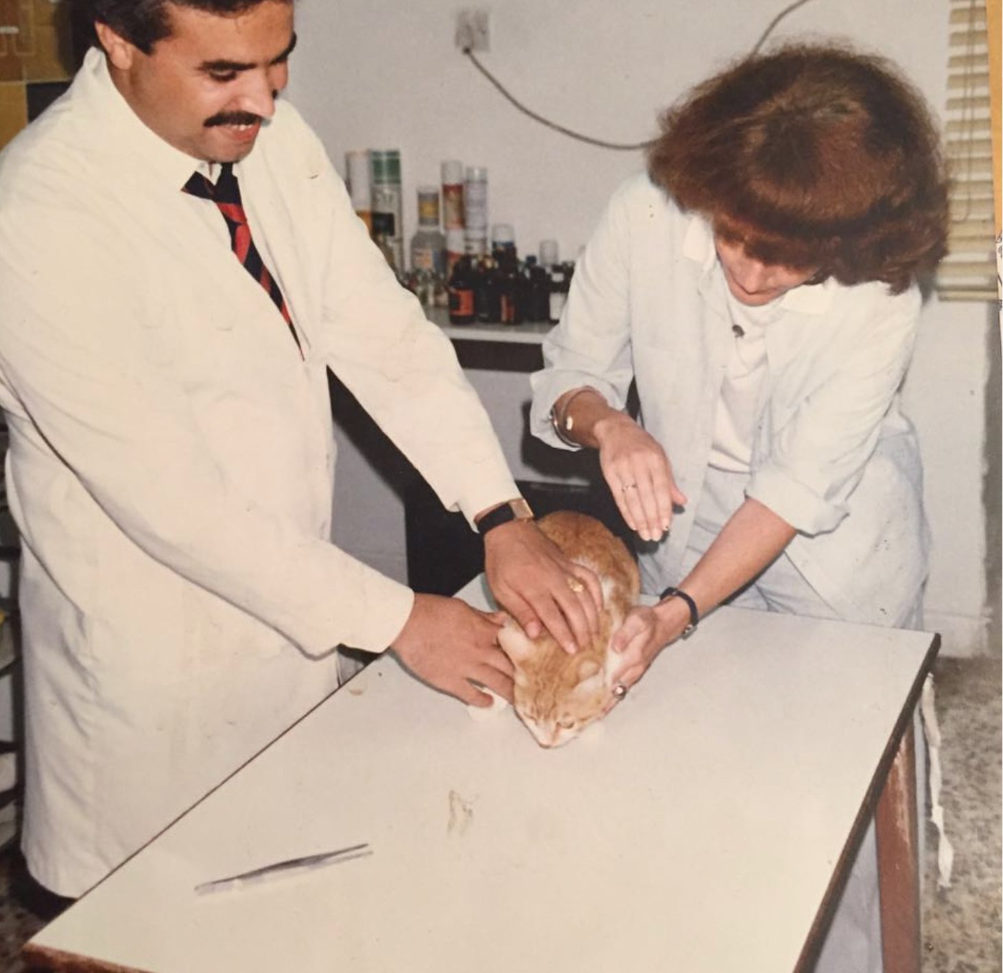 Dr. Faisal with a colleague treating a cat in the early years of the clinic